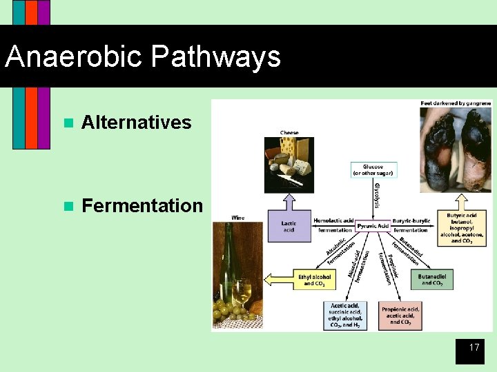 Anaerobic Pathways n Alternatives n Fermentation 17 