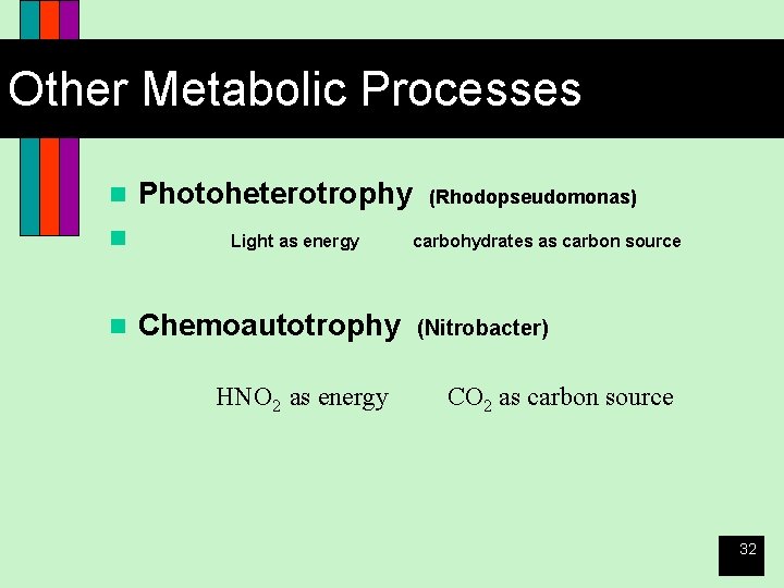 Other Metabolic Processes n n n Photoheterotrophy Light as energy Chemoautotrophy HNO 2 as