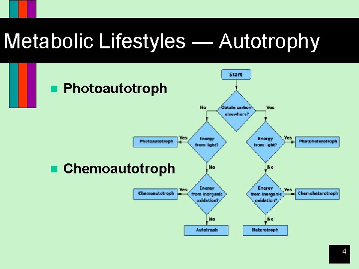 Metabolic Lifestyles — Autotrophy n Photoautotroph n Chemoautotroph 4 