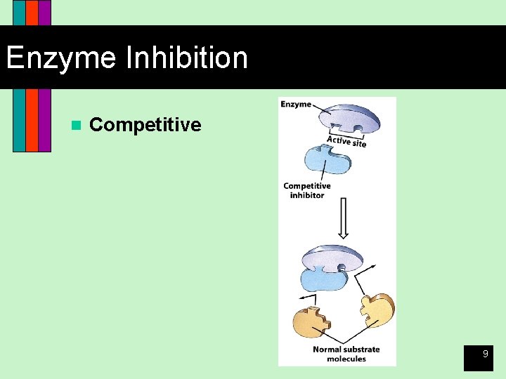 Enzyme Inhibition n Competitive 9 