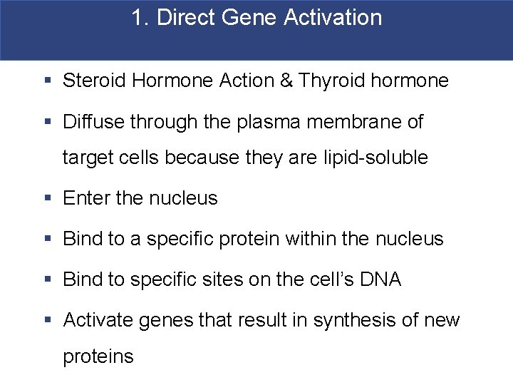 1. Direct Gene Activation § Steroid Hormone Action & Thyroid hormone § Diffuse through