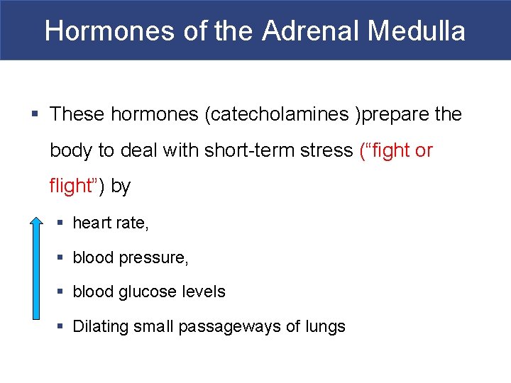 Hormones of the Adrenal Medulla § These hormones (catecholamines )prepare the body to deal