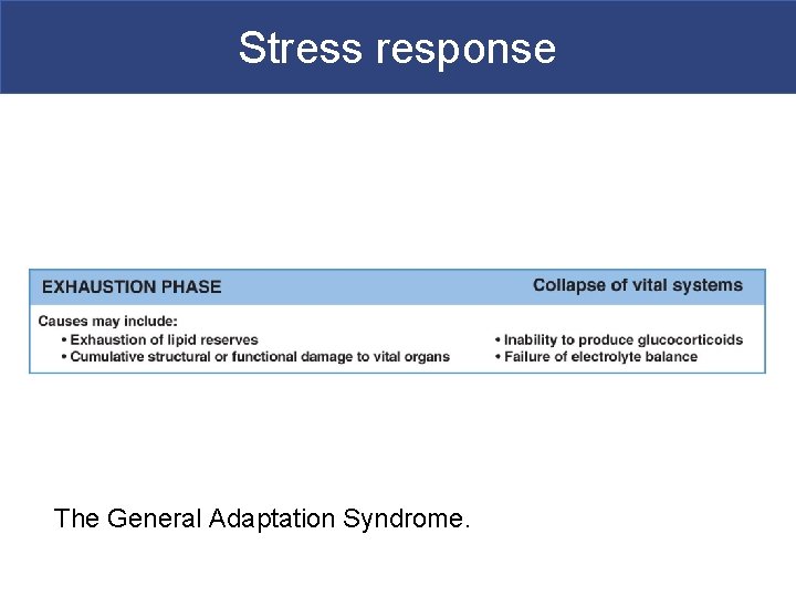 Stress response The General Adaptation Syndrome. 