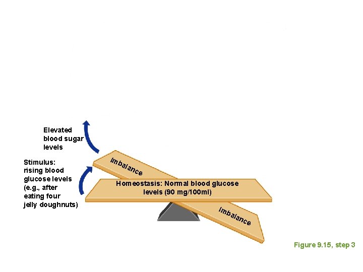 Elevated blood sugar levels Stimulus: rising blood glucose levels (e. g. , after eating