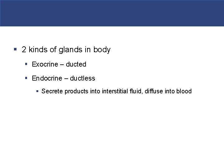 § 2 kinds of glands in body § Exocrine – ducted § Endocrine –