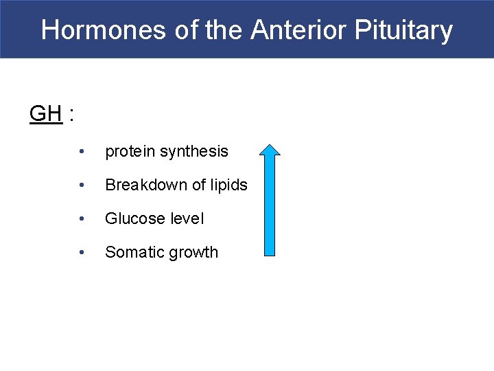 Hormones of the Anterior Pituitary GH : • protein synthesis • Breakdown of lipids