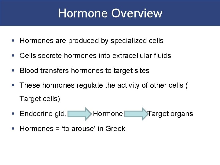 Hormone Overview § Hormones are produced by specialized cells § Cells secrete hormones into