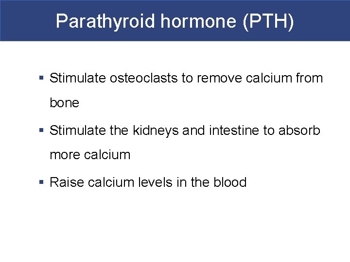 Parathyroid hormone (PTH) § Stimulate osteoclasts to remove calcium from bone § Stimulate the