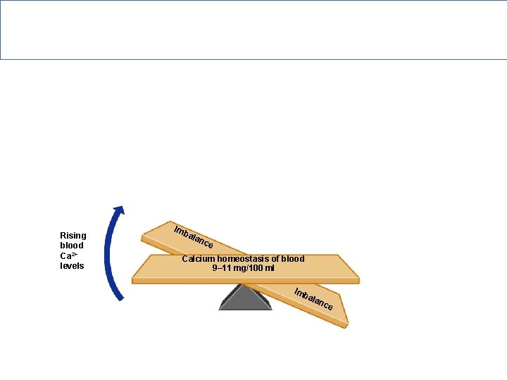 Hormonal Regulation of Calcium in Blood Rising blood Ca 2+ levels Imb ala nce
