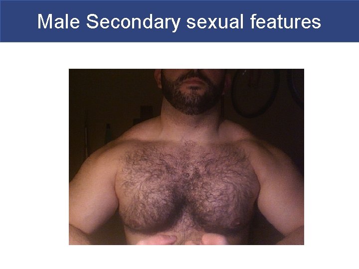 Male Secondary sexual features 