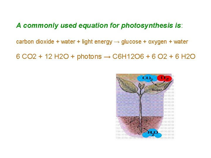 A commonly used equation for photosynthesis is: carbon dioxide + water + light energy A commonly used equation for photosynthesis is: carbon dioxide + water + light energy