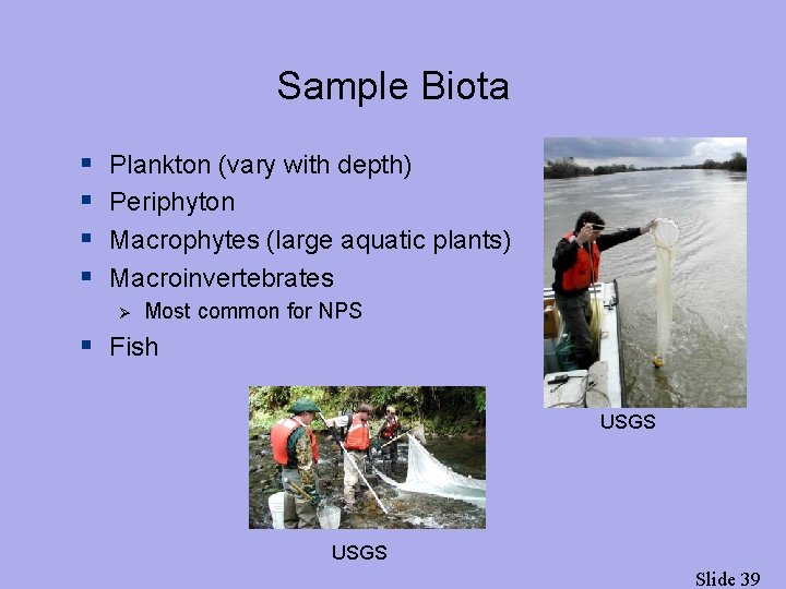 Sample Biota § § Plankton (vary with depth) Periphyton Macrophytes (large aquatic plants) Macroinvertebrates