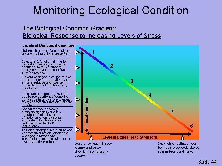 Monitoring Ecological Condition The Biological Condition Gradient: Biological Response to Increasing Levels of Stress