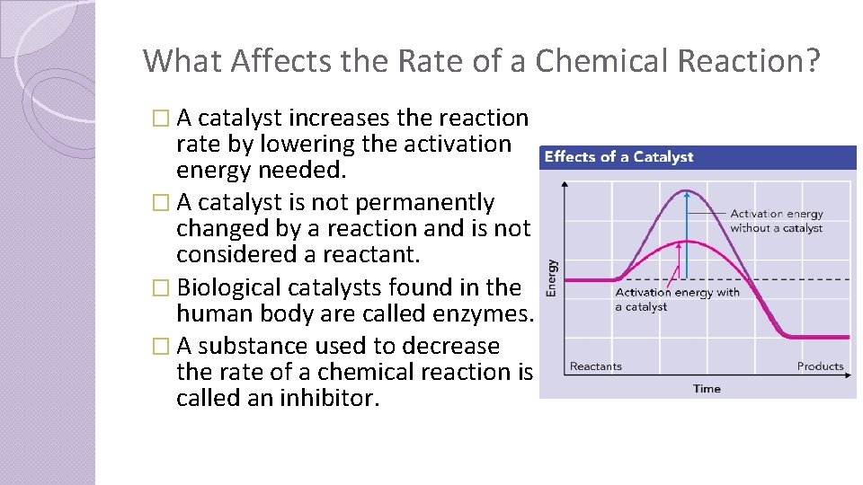 What Affects the Rate of a Chemical Reaction? � A catalyst increases the reaction