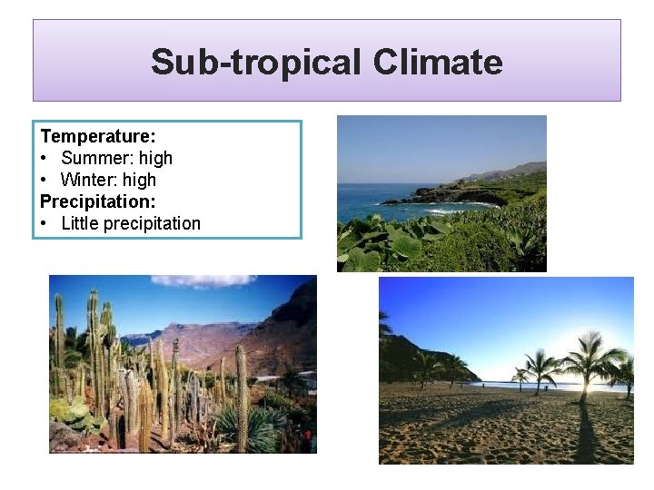Sub-tropical Climate Temperature: • Summer: high • Winter: high Precipitation: • Little precipitation 