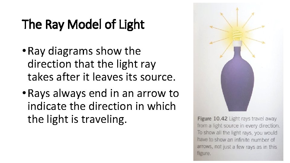 The Ray Model of Light • Ray diagrams show the direction that the light