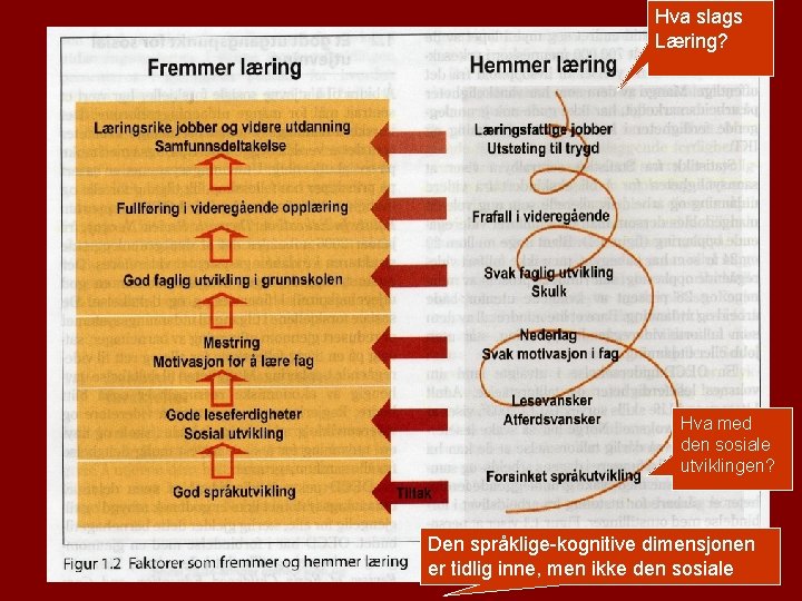 Hva slags Læring? Hva med den sosiale utviklingen? Den språklige-kognitive dimensjonen er tidlig inne,