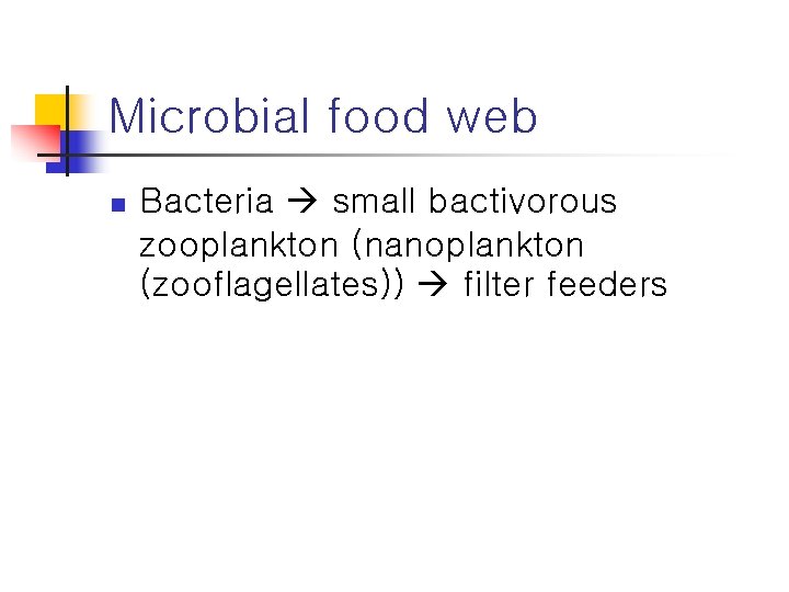 Microbial food web n Bacteria small bactivorous zooplankton (nanoplankton (zooflagellates)) filter feeders 