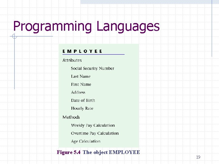 Programming Languages Figure 5. 4 The object EMPLOYEE 19 Programming Languages Figure 5. 4 The object EMPLOYEE 19