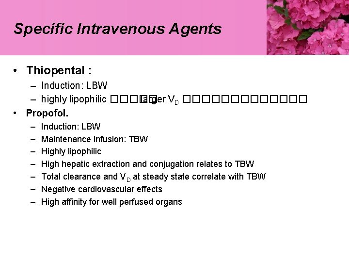 Specific Intravenous Agents • Thiopental : – Induction: LBW – highly lipophilic ����� larger