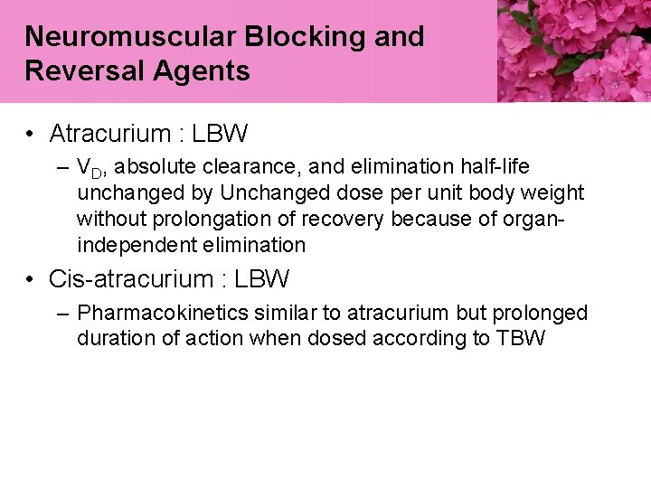 Neuromuscular Blocking and Reversal Agents • Atracurium : LBW – VD, absolute clearance, and