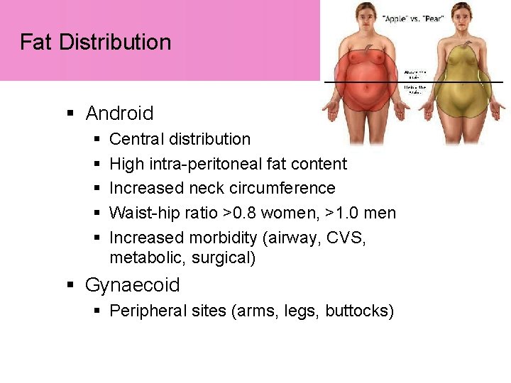 Fat Distribution § Android § § § Central distribution High intra-peritoneal fat content Increased