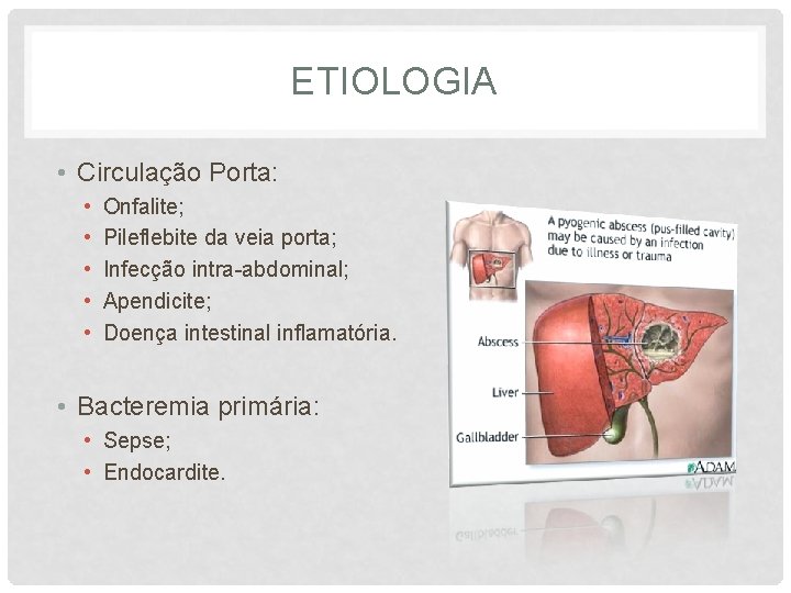 ETIOLOGIA • Circulação Porta: • • • Onfalite; Pileflebite da veia porta; Infecção intra-abdominal;