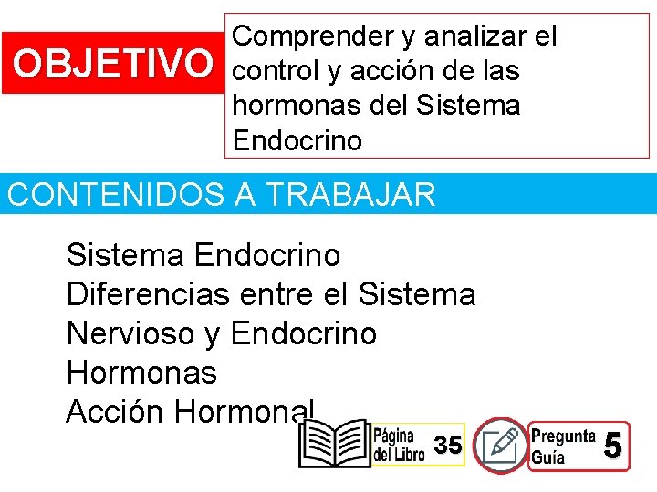 OBJETIVO Comprender y analizar el control y acción de las hormonas del Sistema Endocrino