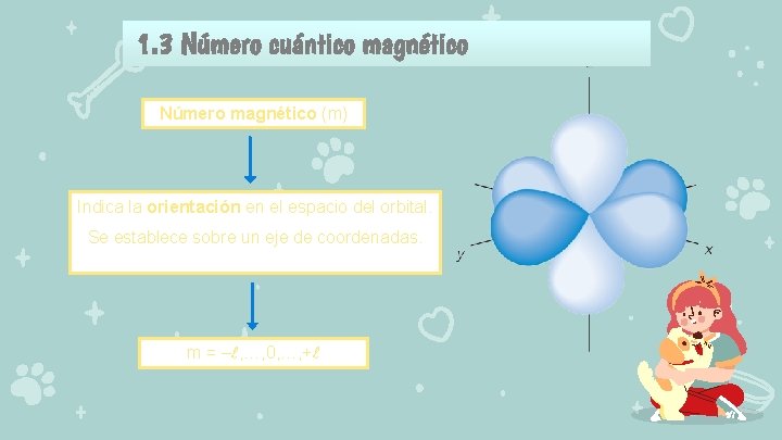 1. 3 Número cuántico magnético Número magnético (m) Indica la orientación en el espacio