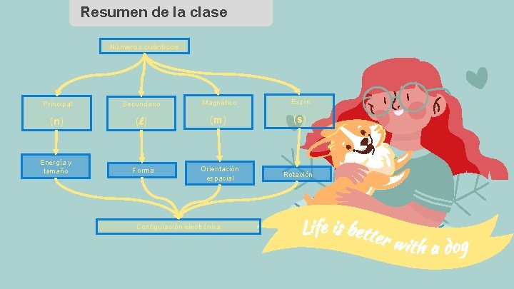 Resumen de la clase Números cuánticos Principal Secundario Magnético Espín (n) (l) (m) (s)