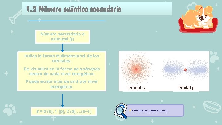 1. 2 Número cuántico secundario Número secundario o azimutal (l) Indica la forma tridimensional