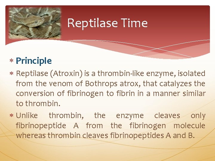 Reptilase Time Principle Reptilase (Atroxin) is a thrombin-like enzyme, isolated from the venom of