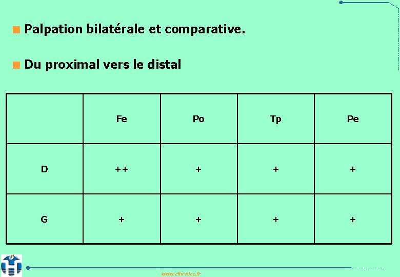 < Palpation bilatérale et comparative. < Du proximal vers le distal Fe Po Tp