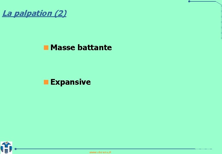 La palpation (2) <Masse battante <Expansive www. chu-nice. fr 