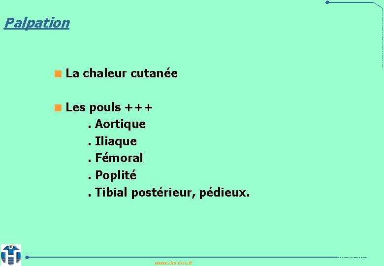 Palpation < La chaleur cutanée < Les pouls +++ . Aortique . Iliaque .