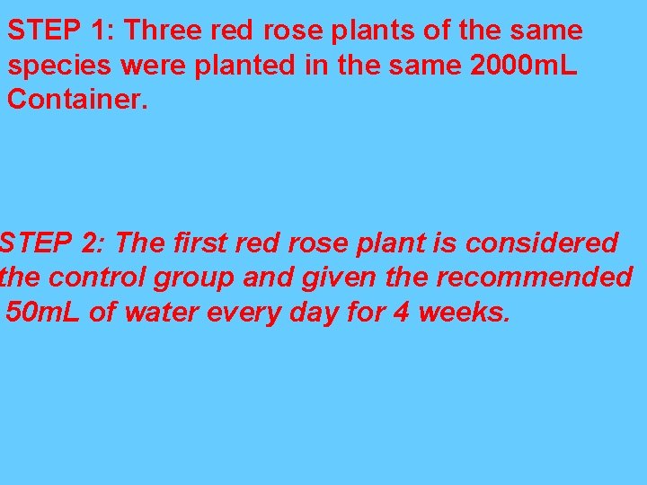 STEP 1: Three red rose plants of the same species were planted in the