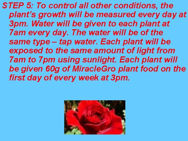 STEP 5: To control all other conditions, the plant’s growth will be measured every