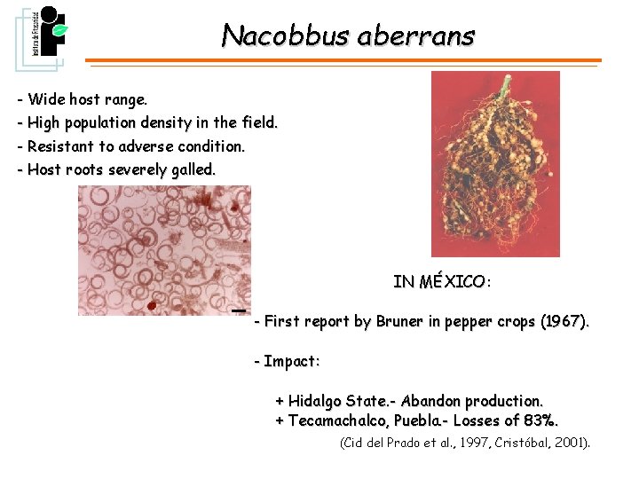 Nacobbus aberrans - Wide host range. - High population density in the field. -