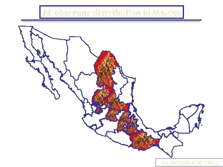 N. aberrans distribution in Mexico Cid del Prado et al. (1991). 
