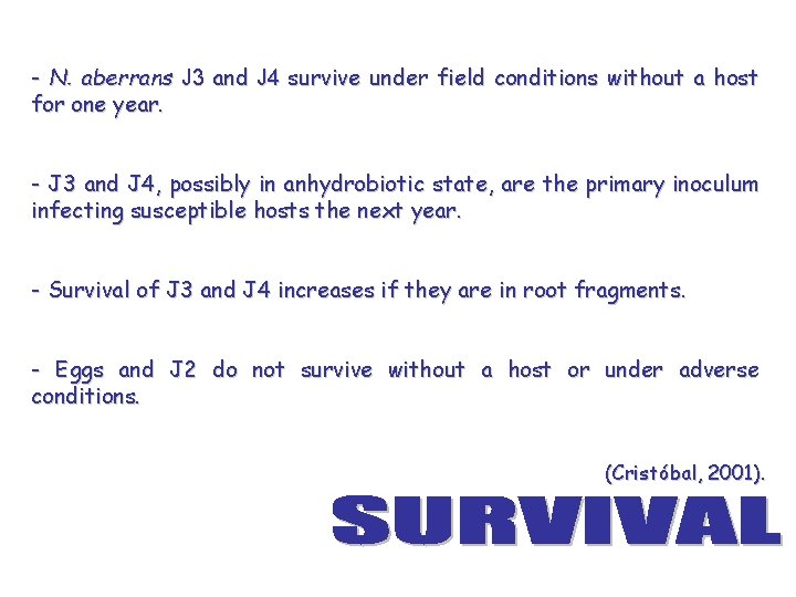 - N. aberrans J 3 and J 4 survive under field conditions without a