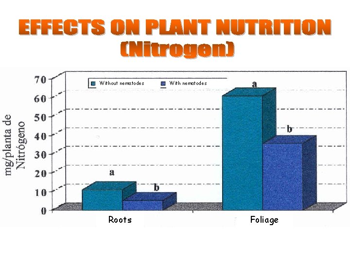 Without nematodes Roots With nematodes Foliage 