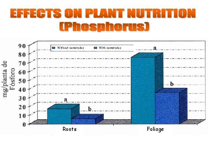 Without nematodes Roots With nematodes Foliage 
