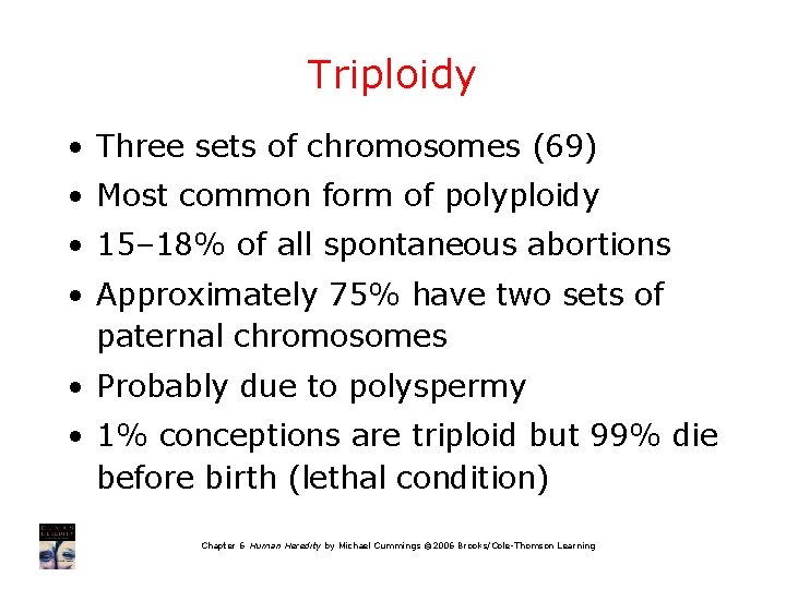 Triploidy • Three sets of chromosomes (69) • Most common form of polyploidy •