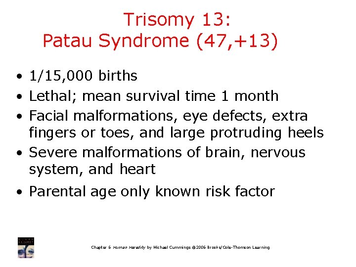 Trisomy 13: Patau Syndrome (47, +13) • 1/15, 000 births • Lethal; mean survival