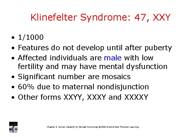 Klinefelter Syndrome: 47, XXY • 1/1000 • Features do not develop until after puberty