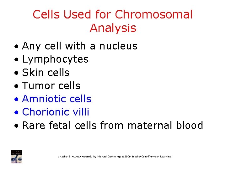 Cells Used for Chromosomal Analysis • Any cell with a nucleus • Lymphocytes •