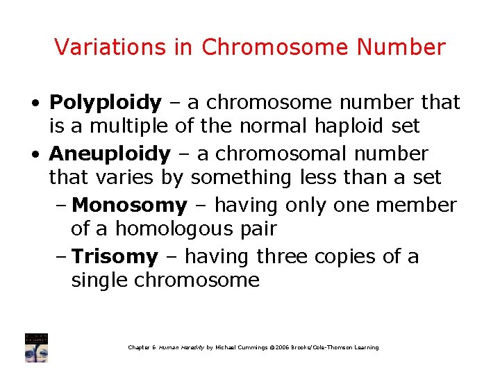 Variations in Chromosome Number • Polyploidy – a chromosome number that is a multiple