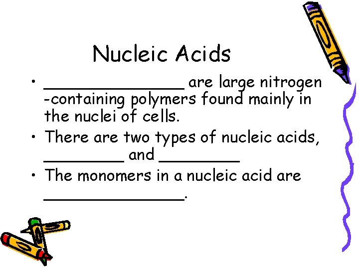 Nucleic Acids • _______ are large nitrogen -containing polymers found mainly in the nuclei