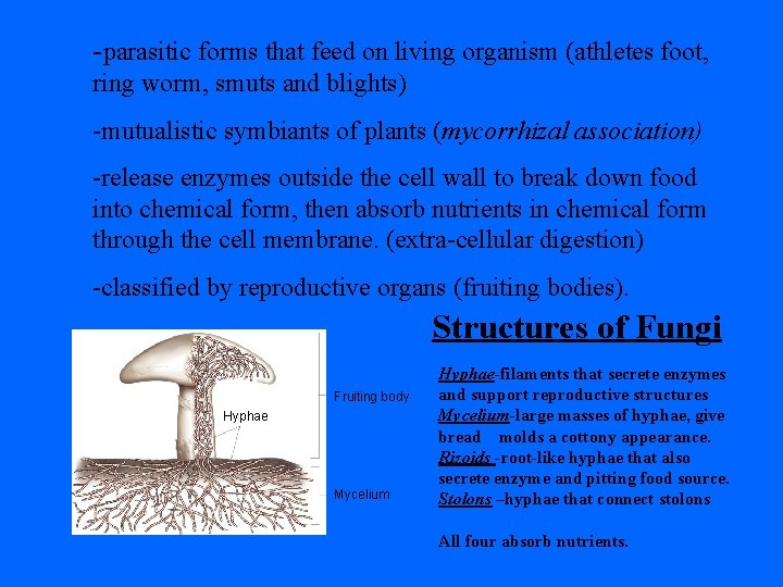 -parasitic forms that feed on living organism (athletes foot, ring worm, smuts and blights)