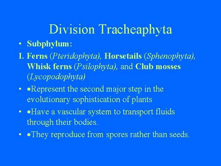 Division Tracheaphyta • Subphylum: I. Ferns (Pteridophyta), Horsetails (Sphenophyta), Whisk ferns (Psilophyta), and Club
